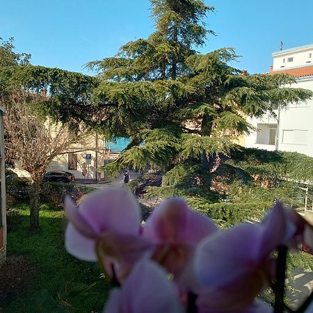 Apartment Luka Фажана Экстерьер фото